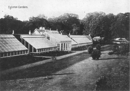 The greenhouses that once stood in Eglinton Estate.