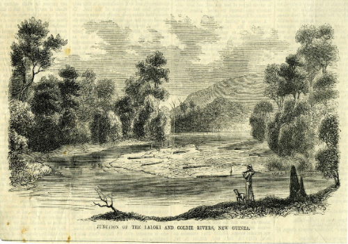 Sketch of the River Goldie in Papua New Guinea.