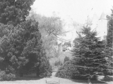 Kelburn Castle grounds.
