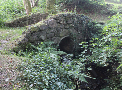 Bridge on the path to the grave.