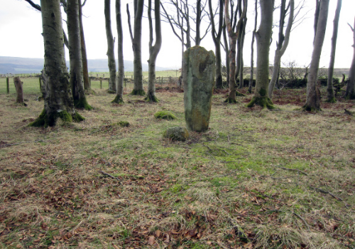 Cumbrae's last remaining standing stone.
